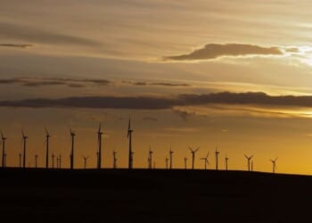 Trump state, Biden agenda: Wyoming gets played by green grifters