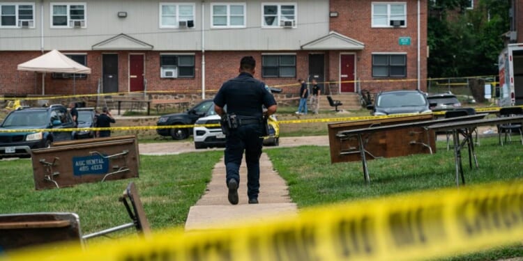 Watch what happens after Democrat witness tells Rep. Brandon Gill Baltimore is a safe city