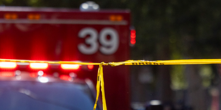 Shoplifters beat up store worker, 60, who runs after them. Then they hit him with car several times; he dies in parking lot.