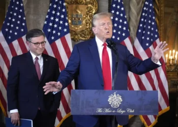 Mike Johnson challenges Trump-backed idea of taxing millionaires: ‘Not a big fan’