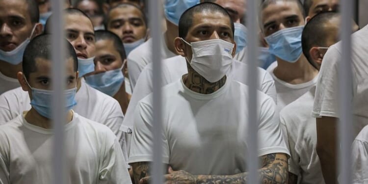 Trump DOJ tells courts to pound sand, not their place to order MS-13 member back to US