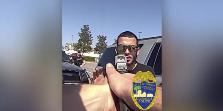 Dramatic video shows moment when over a dozen Good Samaritans thwart attempted kidnapping of mother and young children