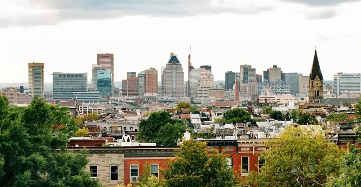 Brandon Gill grills Democratic witness defending Baltimore as safe city