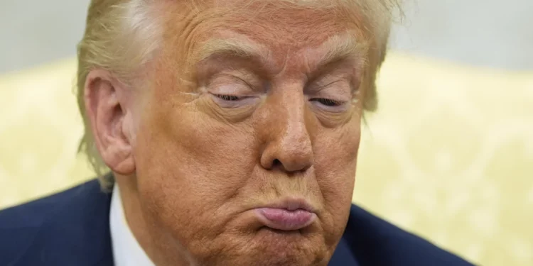 Democrats will thank Trump for the norms he destroyed