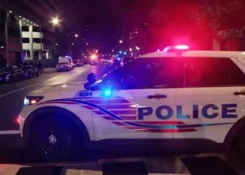 Gunman accused of killing two Israelis in DC chanted ‘Free Palestine’ while in police custody