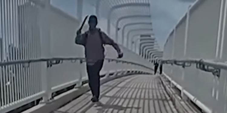 Officer meets machete-wielding male running at her with a little more firepower, just-released bodycam video shows