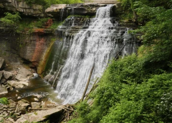 Freeing federal land to reduce housing costs is common sense