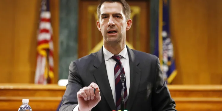 Joe Concha commends Cotton's clapback at Margaret Brennan