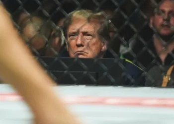 Trump to hold UFC fight at White House for nation's 250th birthday