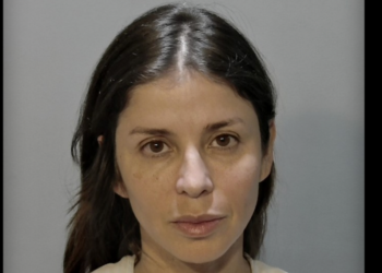 Florida woman furious at driver who allegedly runs over chicken crossing the road; so she tries to 'teach her a lesson': Cops
