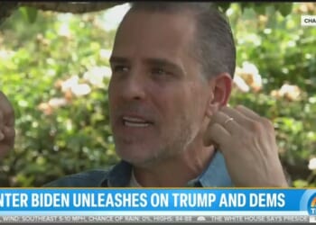 Pay No Attention to Hunter and the Bitter Bidens