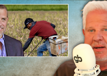 Completely bizarre Hunter Biden defense illegal immigration