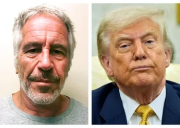 NYT reports Trump was contributor to Epstein birthday book days after WSJ story on letter