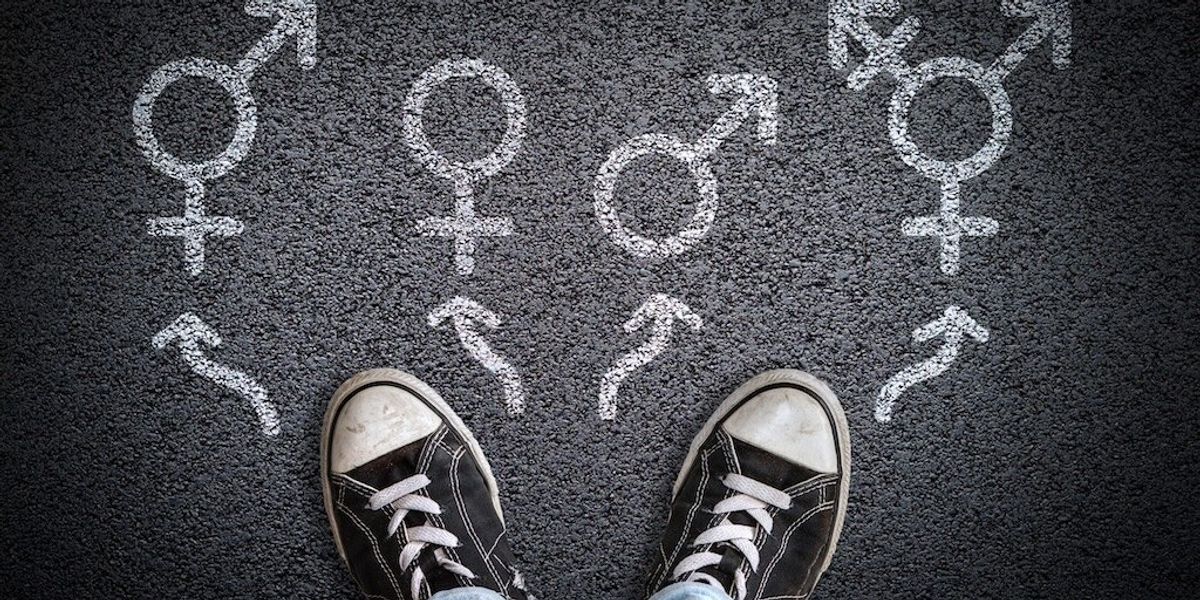 Self-evident truths erased by the woke revolution