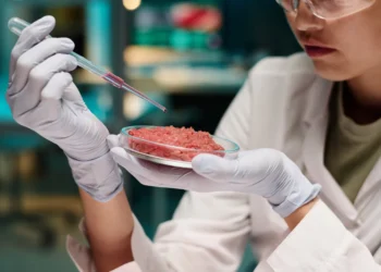 As Texas becomes 7th state to ban lab-grown meat, USDA advances it