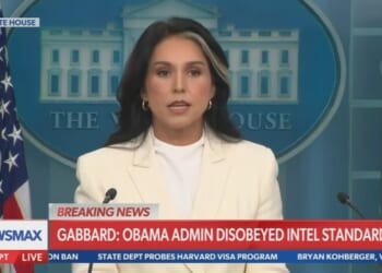 DNI Gabbard Embarrasses WH Journos to Their Faces Over Russian Collusion Hoax