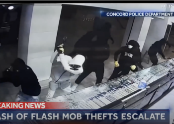 Illegal Aliens Help Fuel Explosive Transnational Retail Theft Rings