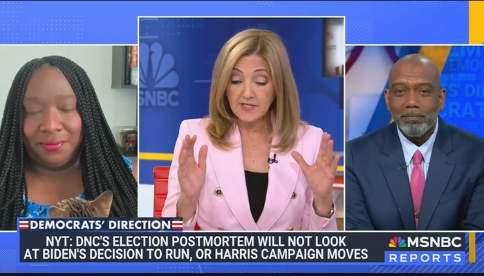 MSNBC Democrats Search for Answers Why Their Party Is Failing