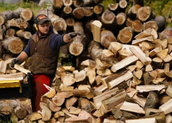 Maine lawmakers seek fed relief for logging industry