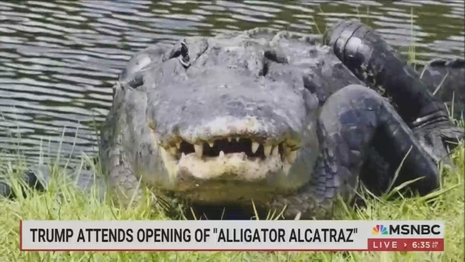 Alligator Alcatraz MSNBC Morning Joe 7-2-25