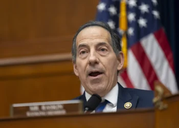 Raskin says Trump and Bondi 'closest thing' to deep state
