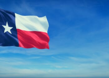 To make government better, DOGE should learn from Texas
