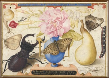 Little Beasts Exhibit Examines The Nexus Of Biology, Theology, And Art
