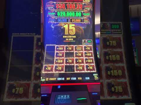 1Win