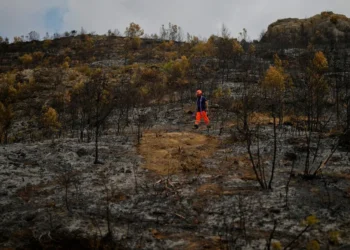 Firefighters battle to prevent reignition of France’s largest wildfire as residents return home