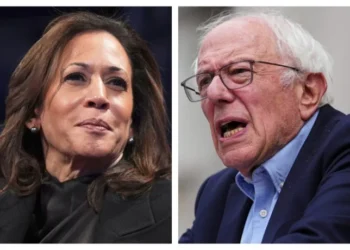 Harris lost because she listened to 'too many billionaires': Sanders