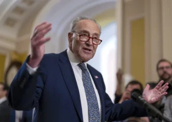 Schumer endorses Schatz to succeed Durbin as whip