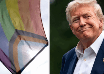 Trump's policies are stifling transgender activists in Canada, and there's nothing they can do about it