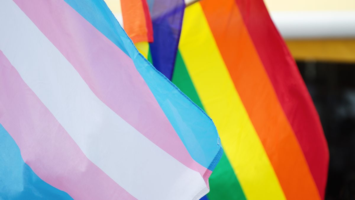 trans and lgbt flags