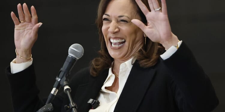 Kamala Harris reveals the real reason she avoided a gay running mate: 'It would be a real risk'