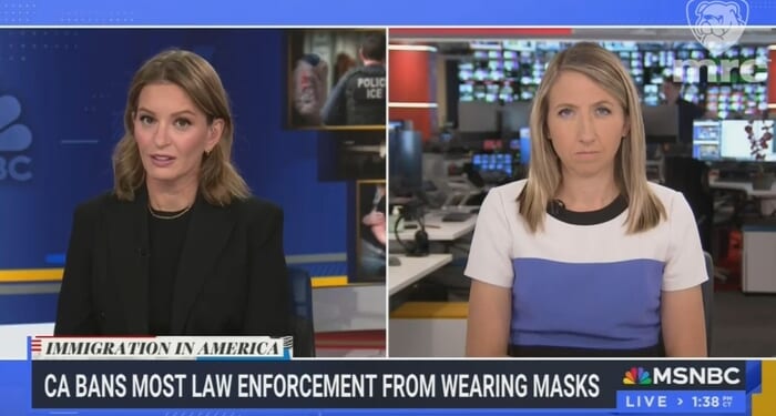 MSNBC Floats Idea That Wearing Masks Are to Blame for Threats to ICE Agents