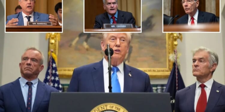 'Ask your doctor’ before taking Trump's Tylenol advice