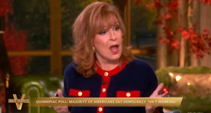 ABC’s The View Claims There Are 'No Guardrails,' So Elect Democrats