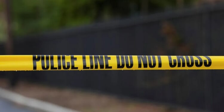 Champaign stabbing raises concerns over Illinois mental-health law