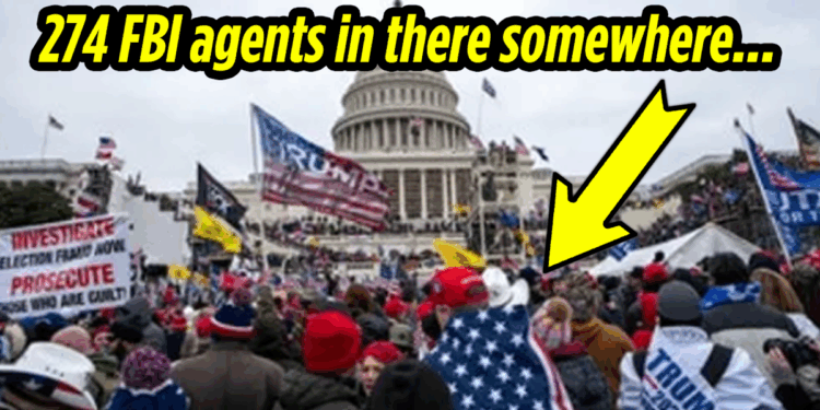 Douglas Andrews: A Damning J6 After-Action Report