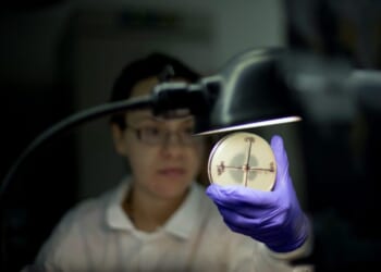 FAIR model is America's best path forward on research funding