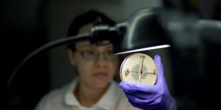 FAIR model is America's best path forward on research funding