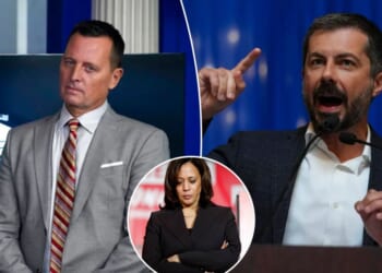 Grenell calls Harris a ‘hypocrite’ over Buttigieg vice president snub