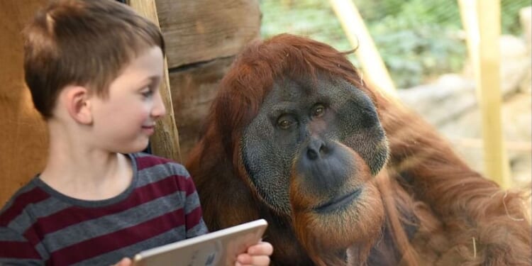 Hello, darkness, my old friend: How to get your body's circadian rhythms back on the beat