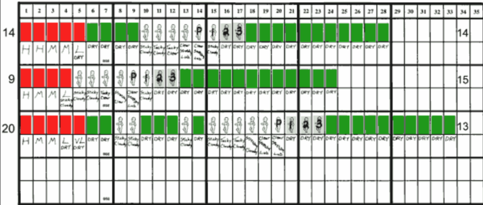 An image from the a NaPro textbook documented three cycles using the Creighton Model. 