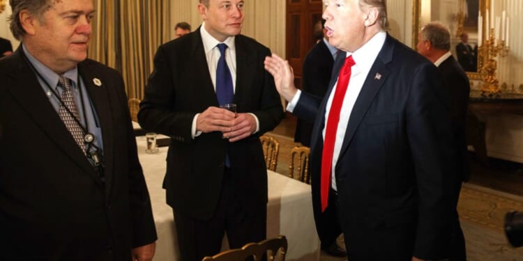 Musk and Bannon mentioned in Epstein files released by Oversight Democrats