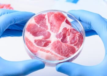 Say no to synthetic: America needs real meat, not lab slop