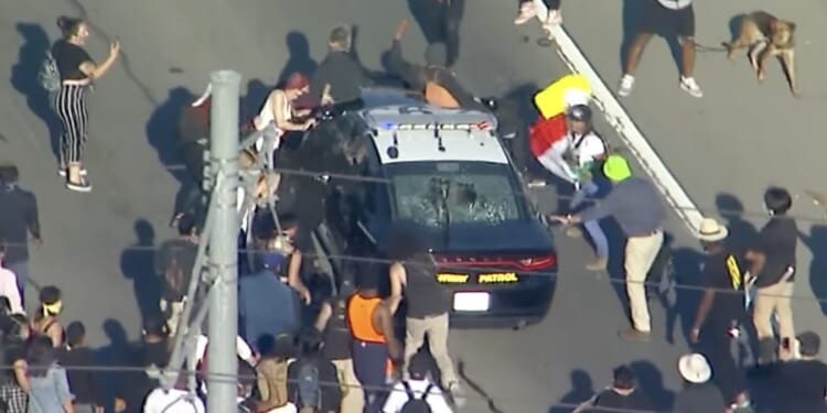 The Left's Love Affair With Terrorists Isn't New -- It's The Playbook