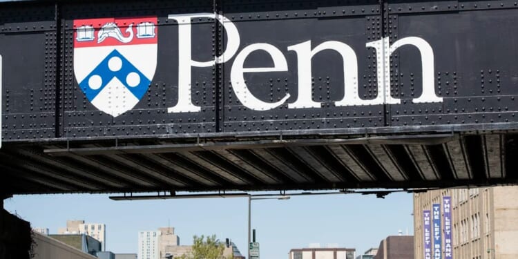UPenn climate scientist steps down from vice provost role amid Kirk posting backlash