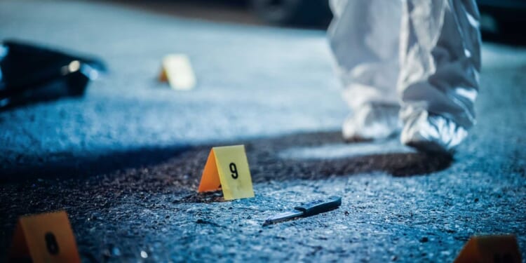 Career criminal reportedly with 99 arrests allegedly stabs 69-year-old man; FOP president blames 'woke, broke' system