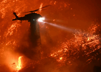 Feds make arrest in connection with devastating Palisades Fire in Los Angeles